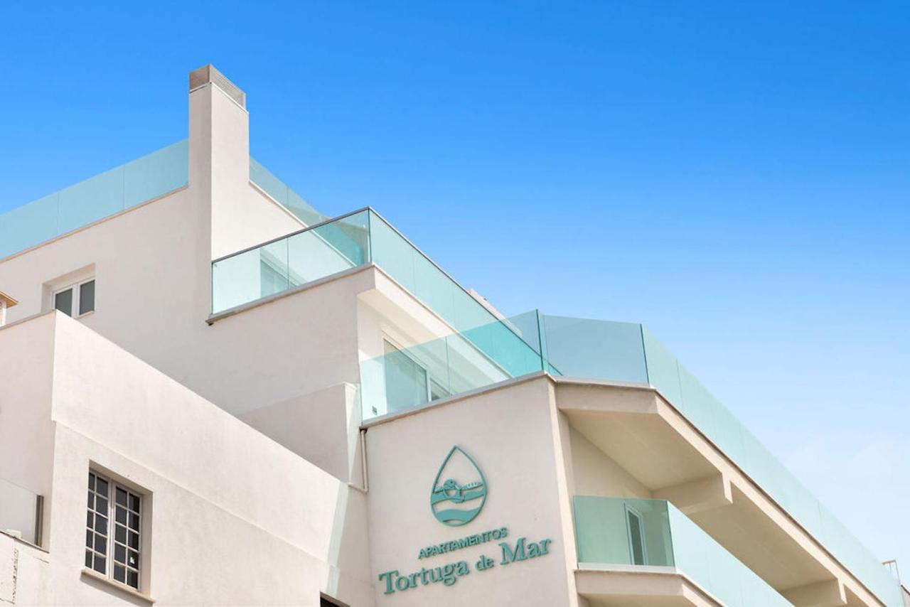 Tortuga De Mar Apartamento Palma de Mallorca